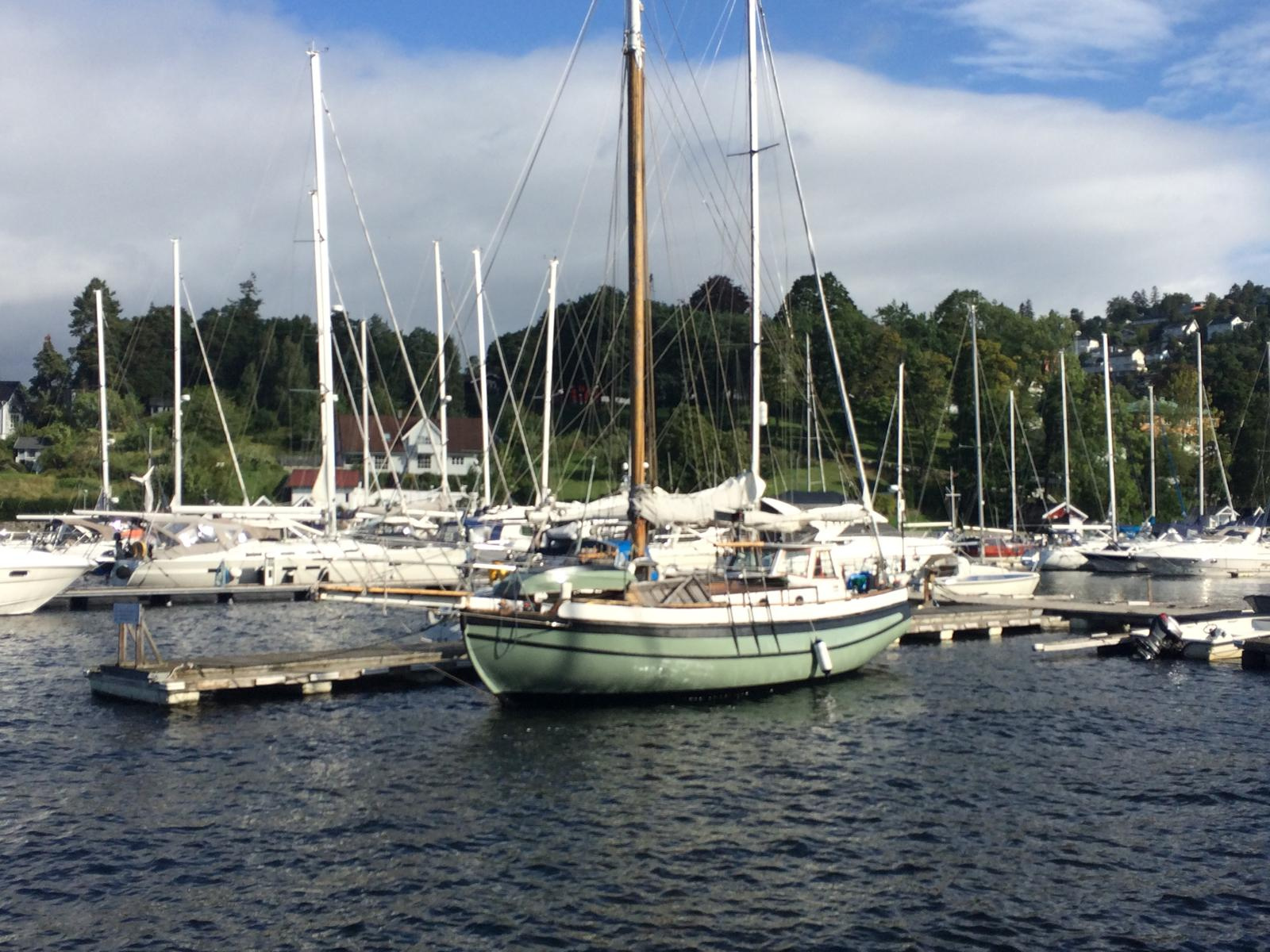 Tingeling in the marina